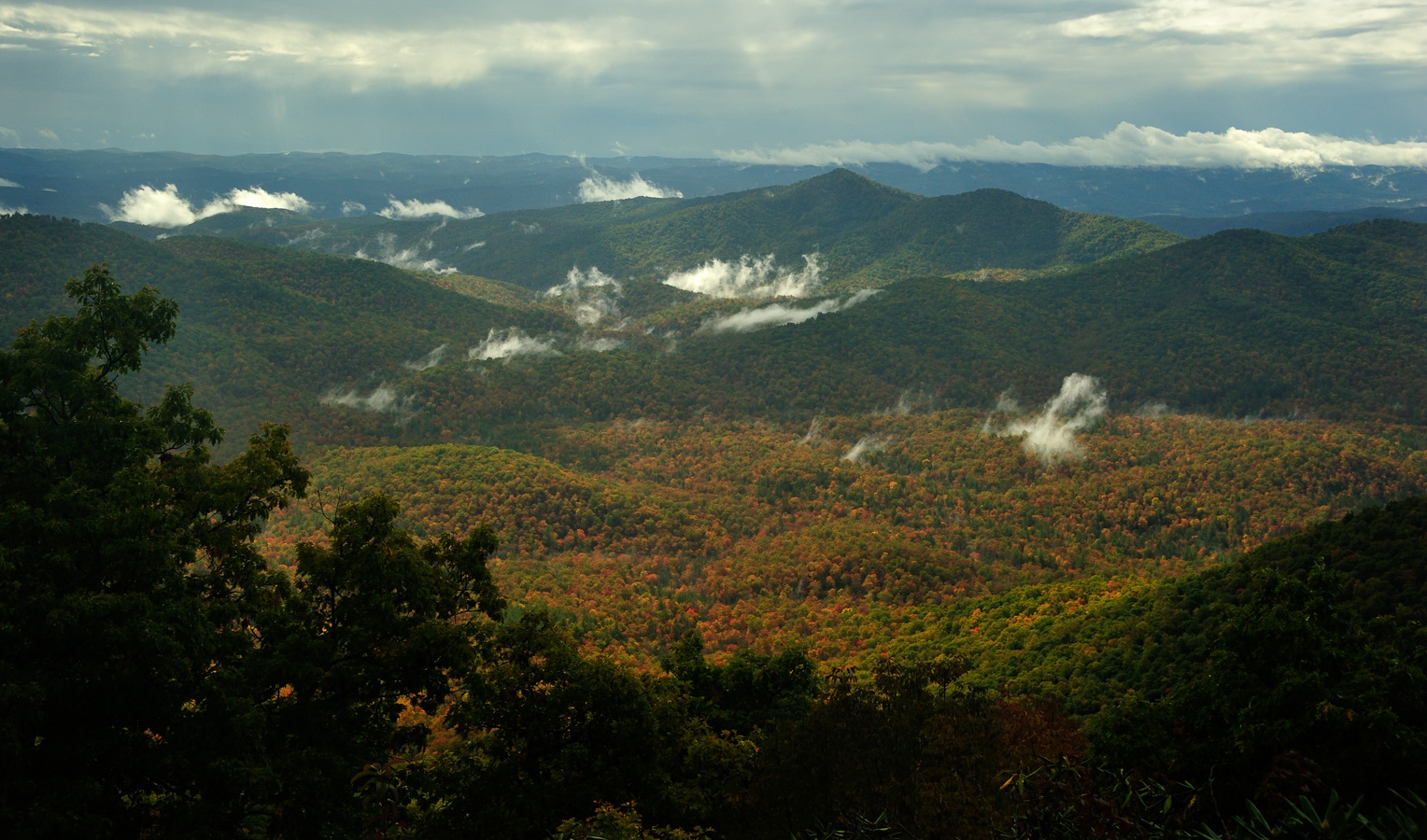 Blue Ridge Parkway [48 mm, 1/320 sec at f / 10, ISO 500]